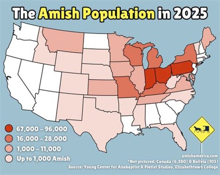 Do the Amish use deodorant?