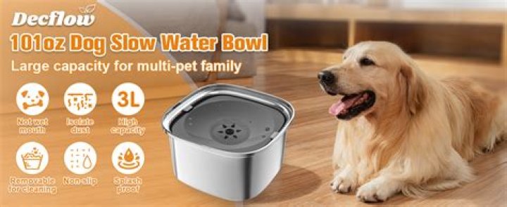 Do toilet bowls wear out?