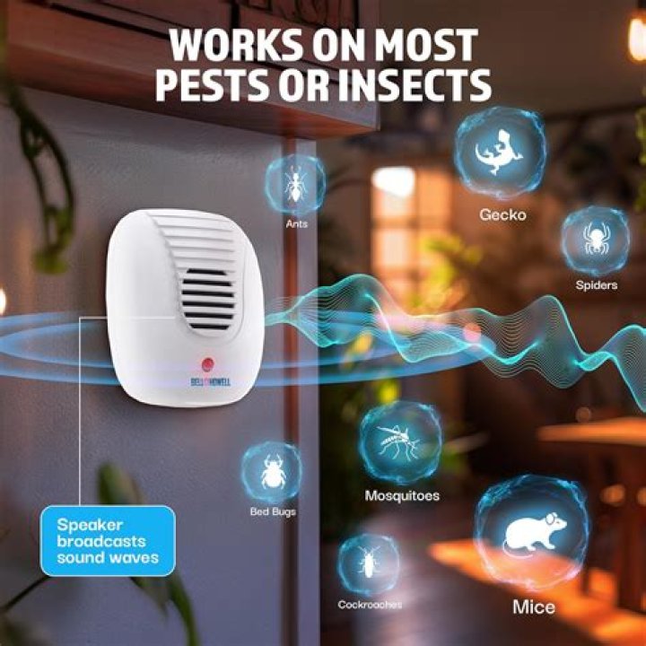 Do ultrasonic pest repellers work on termites?