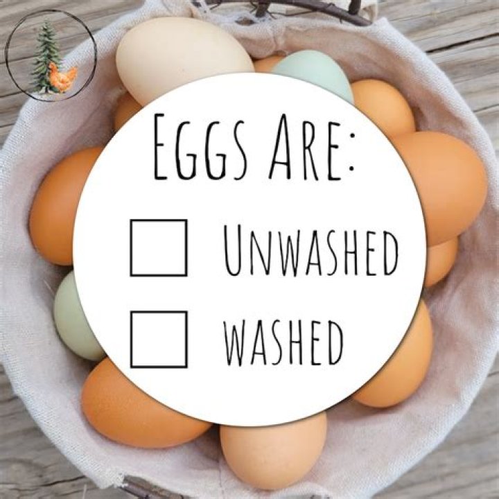 Do unwashed eggs keep longer?
