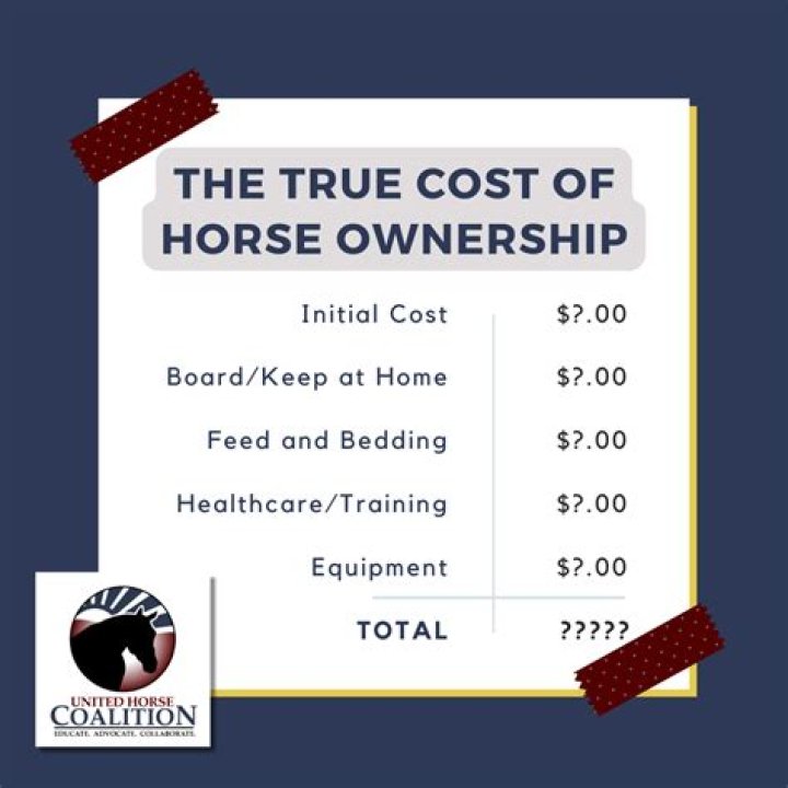 Do you have to be rich to own a horse?