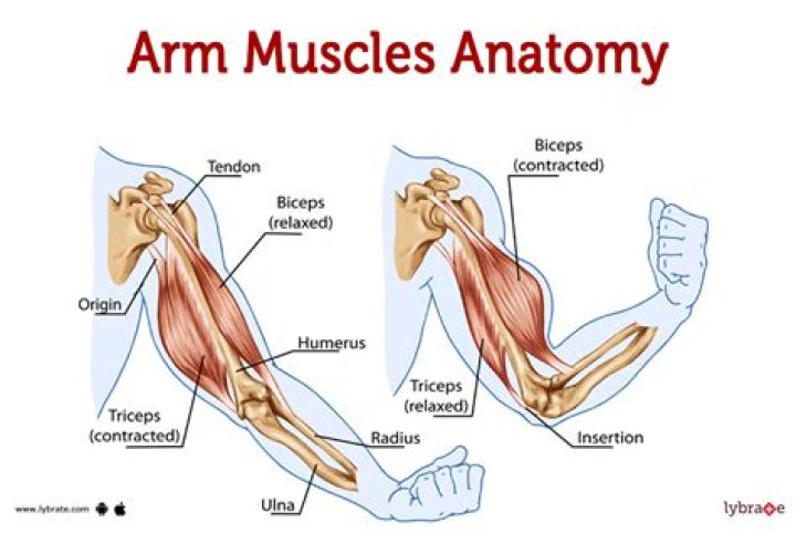 Do you use muscles to sing?