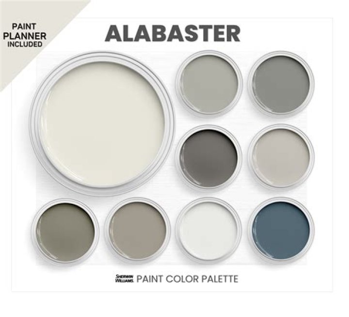 Does agreeable gray go with Alabaster?
