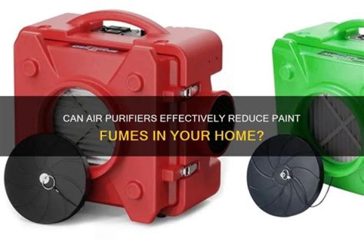 Does an air purifier help with paint fumes?