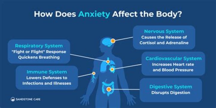 Does anxiety make you cold?