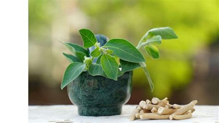 Does ashwagandha affect emotions?