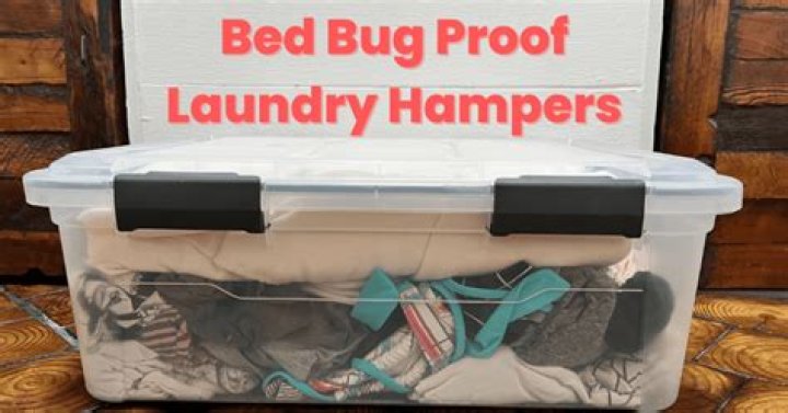 Does baby powder keep bed bugs away?