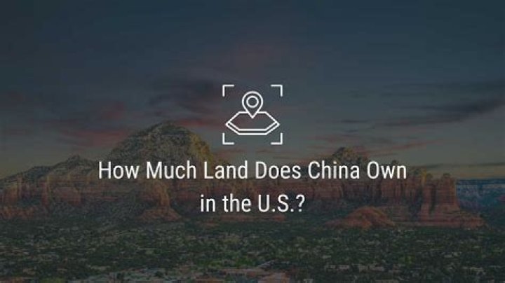 Does China own coke?