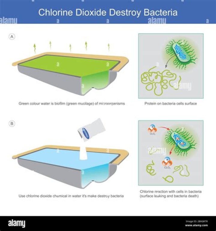 Does chlorine break down plastic?