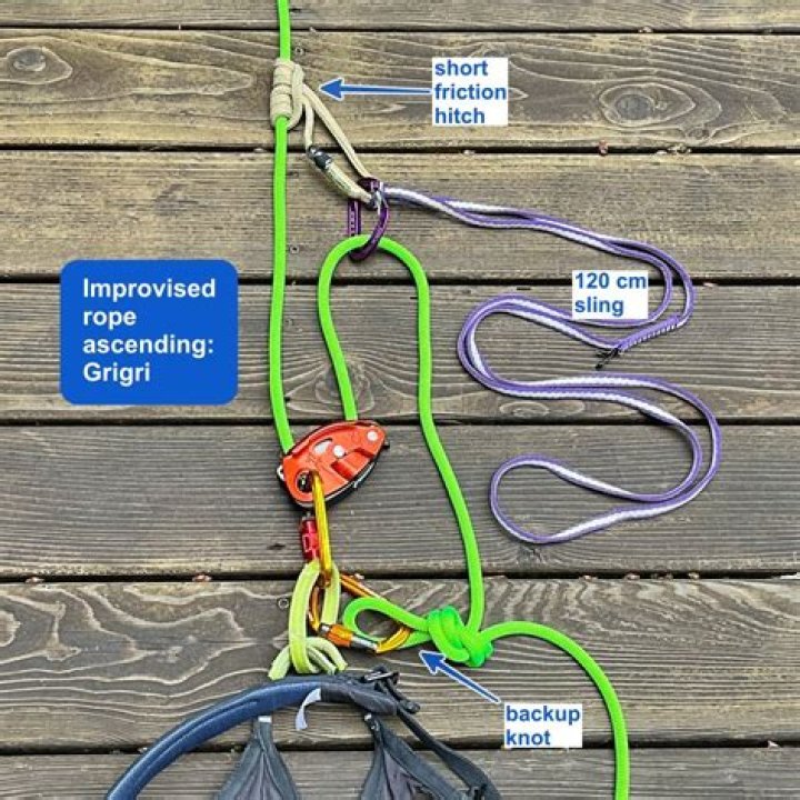 Does climbing rope build muscle?