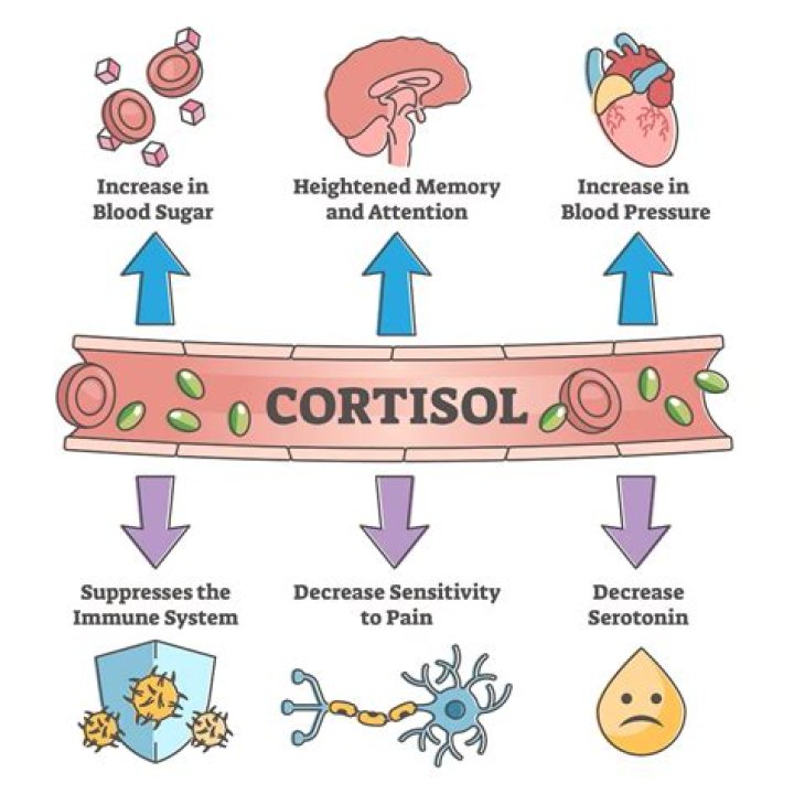 Does cortisol affect eyes?