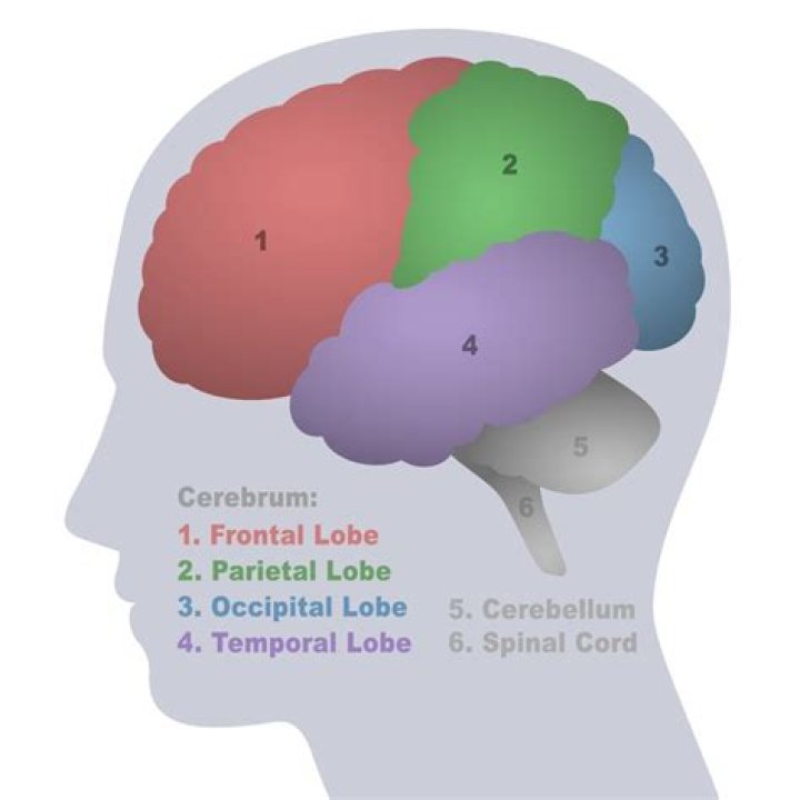 Does Covid age the brain?