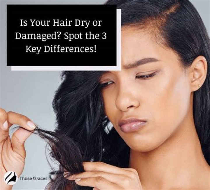 Does dry hair mean its damaged?