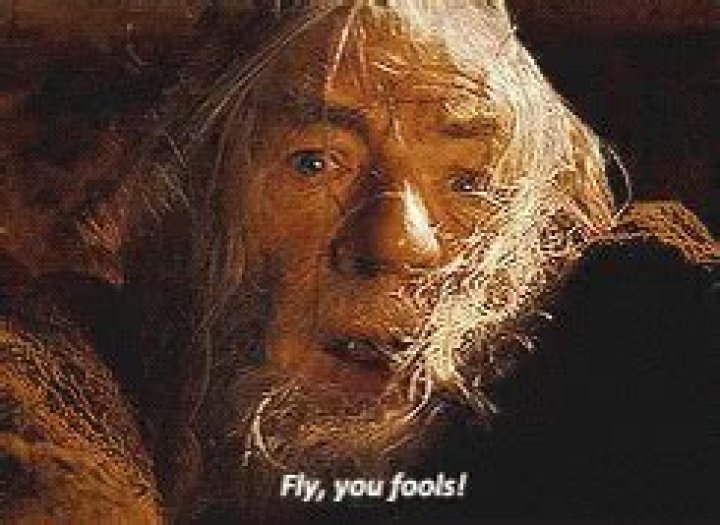 Does Gandalf say fly or run you fools?