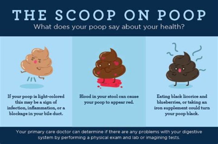 Does Guinness make your poop dark?