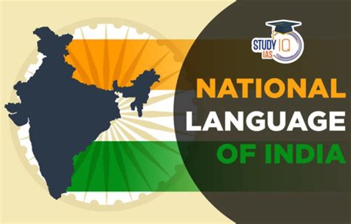 Does India have national language?