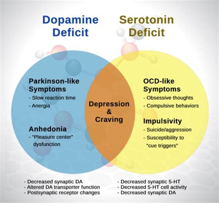 Does lack of sleep lower serotonin?