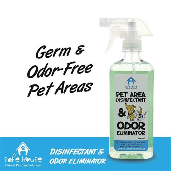 Does Lysol affect dogs?