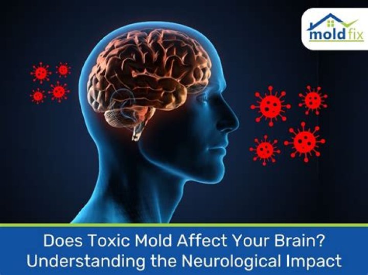 Does mold affect your brain?