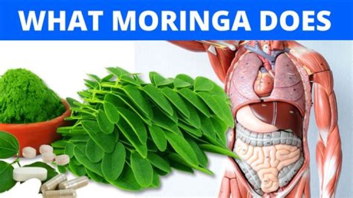 Does moringa interact with any medications?