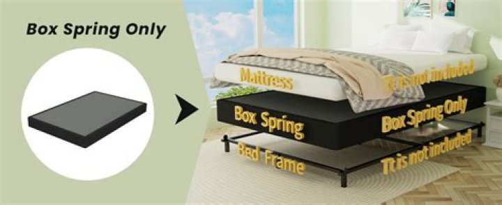 Does my mattress have mold?