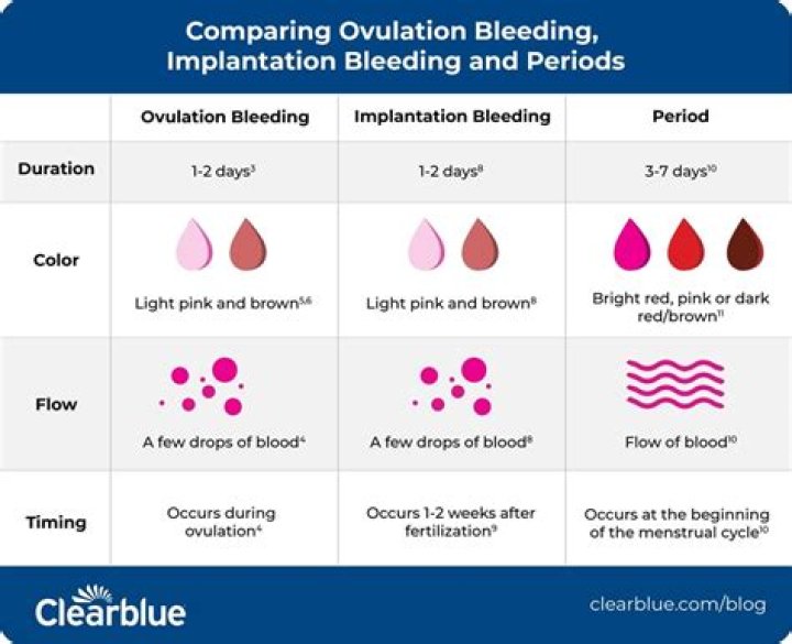 Does ovulation bleeding mean not pregnant?