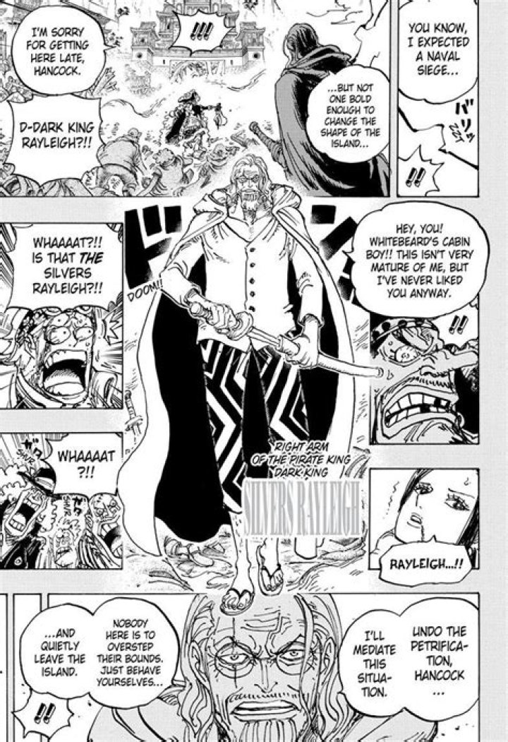 Does Rayleigh have advanced armament Haki?