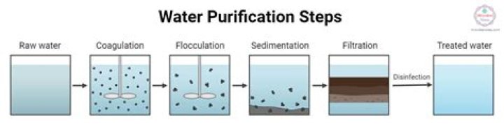 Does salt purify water?