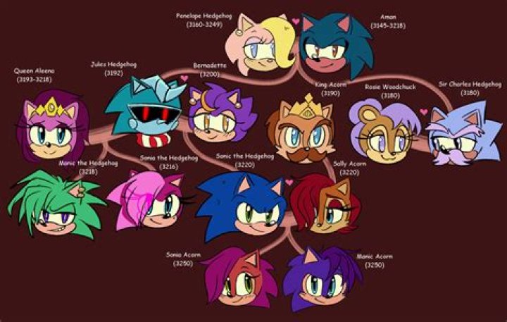 Does Sonic have a family?