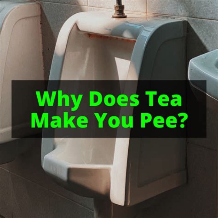 Does tea make you pee?