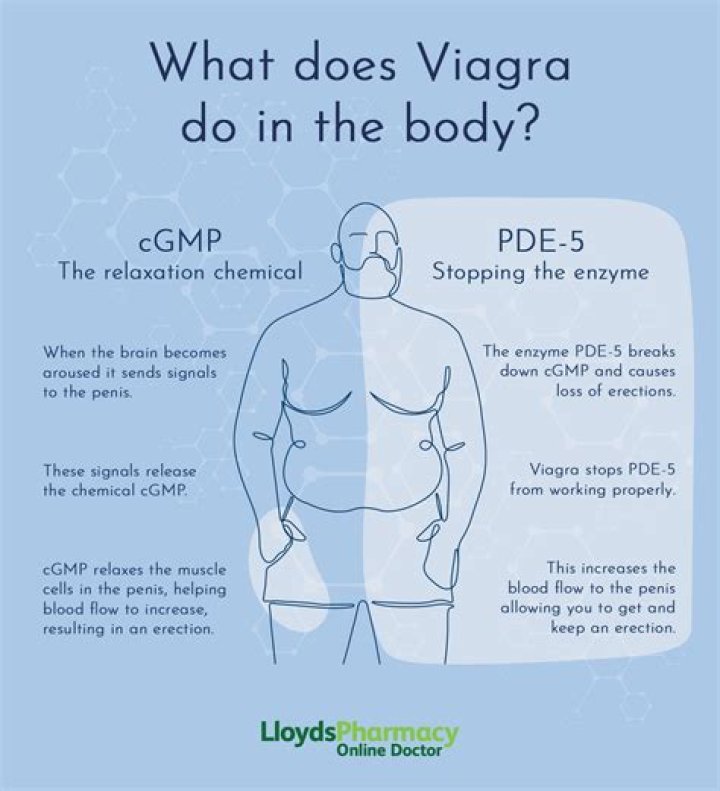 Does Viagra make you bigger?