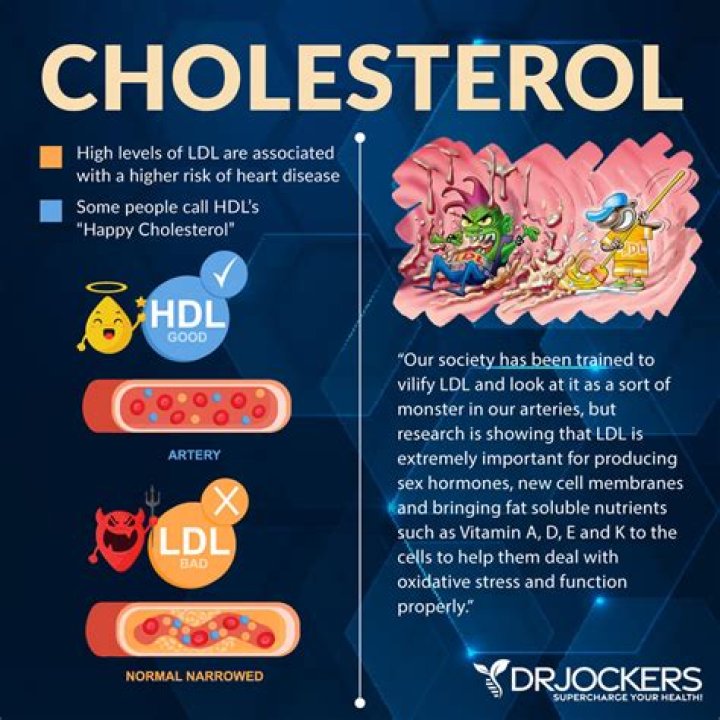 Does vitamin D increase cholesterol levels?