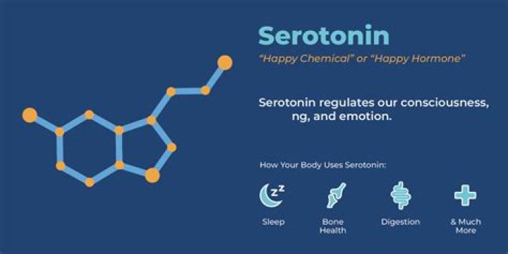 Does Wellbutrin increase serotonin?