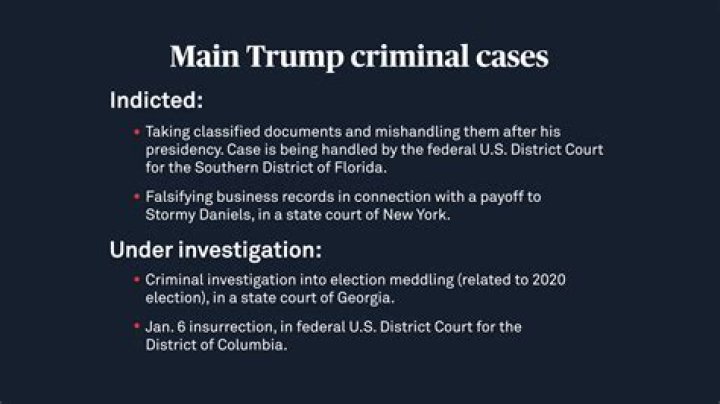 How are most criminal cases resolved?