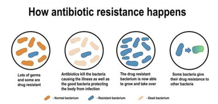 How can I get antibiotics for free?