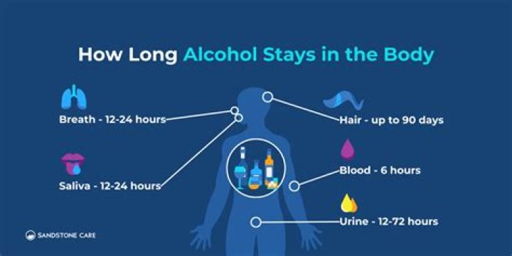 How can I hide alcohol in my body?