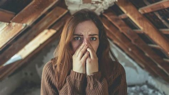How can I make my house smell like fall?