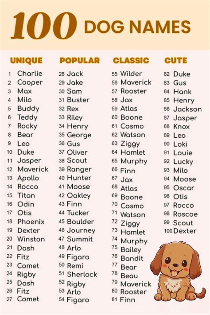 How common is coco for a dog name?