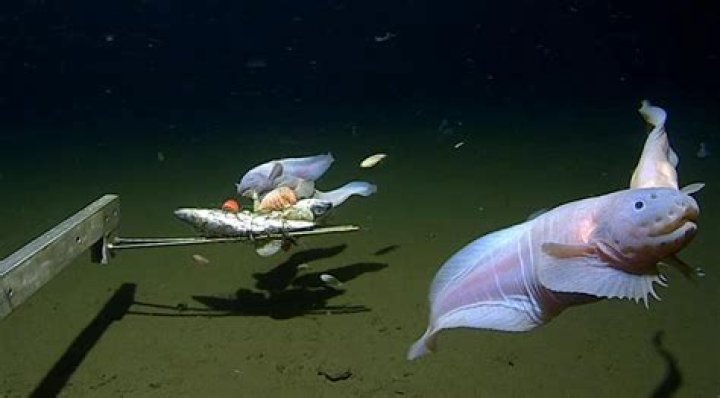 How deep is the Bora Bora lagoon?