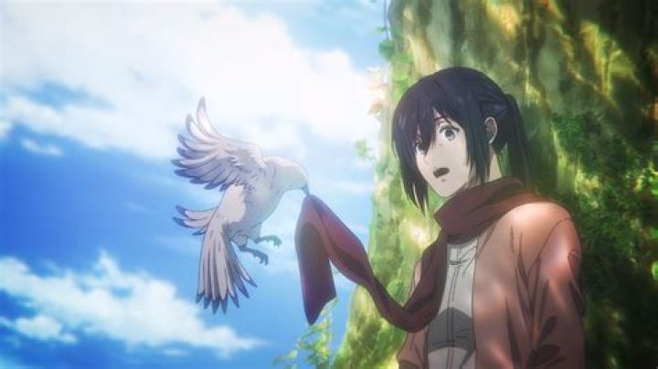 How did Mikasa hear Eren?
