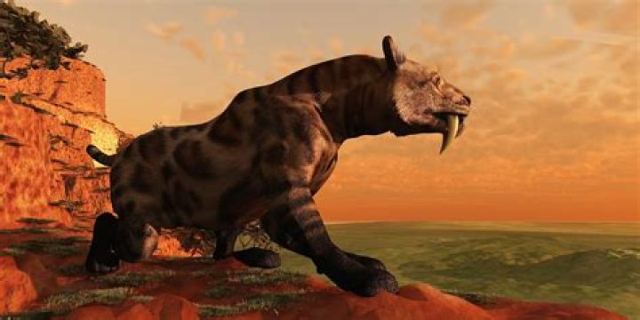 How did Sabertooth get his powers?