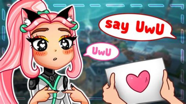 How did the uwu meme start?