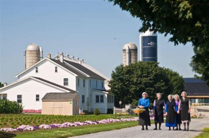 How do Amish earn money?