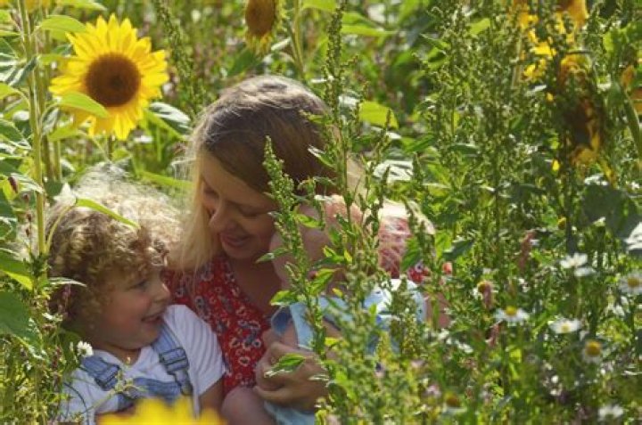 How do babies choose their favorite person?