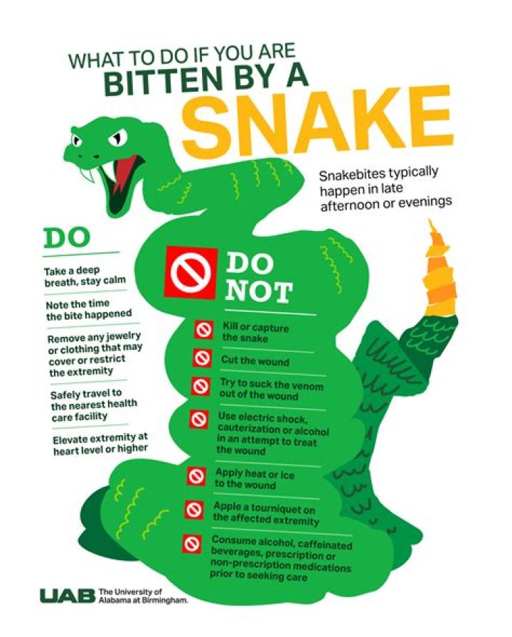How do dogs act when bitten by a snake?