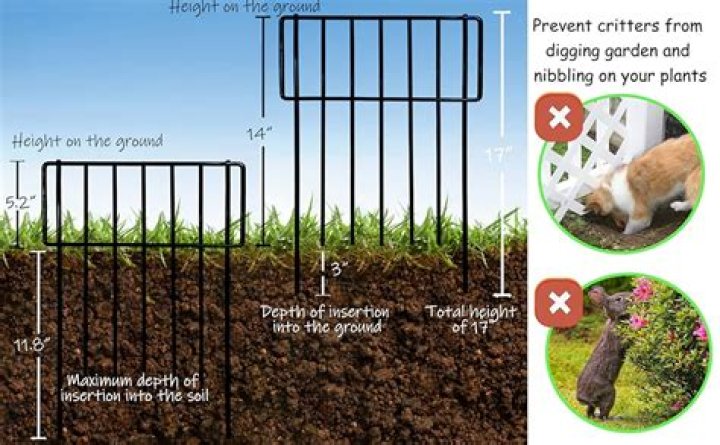 How do I get my dog to stop killing rabbits?
