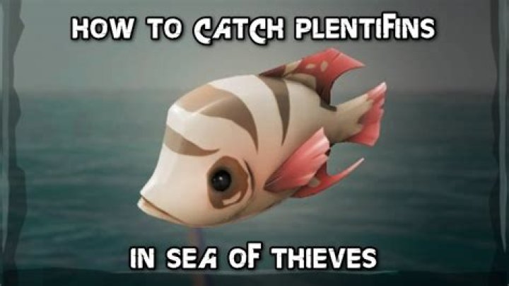 How do I get Plentifins?