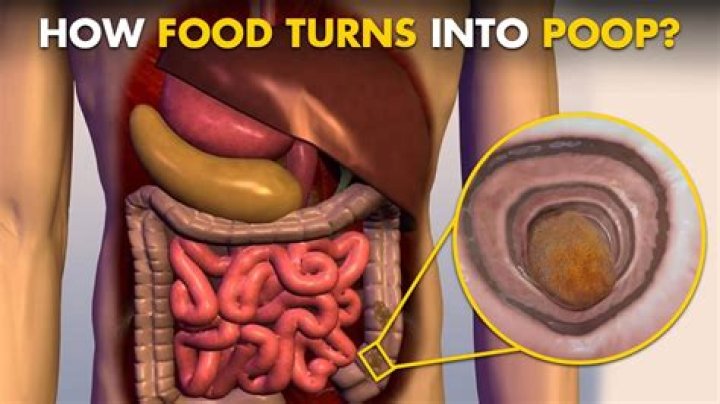 How do I get rid of all the poop in my body?