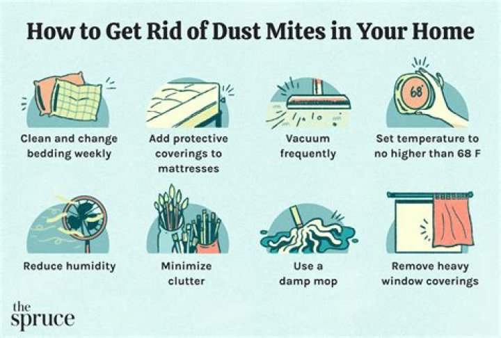 How do I get rid of white mites in my bedroom?