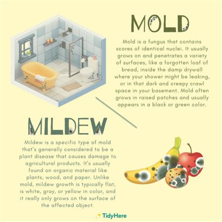 How do I get the mildew smell out of my hair?